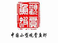 东莞市复鼎织造实业有限公司