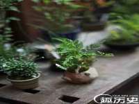 东莞市复鼎织造实业有限公司