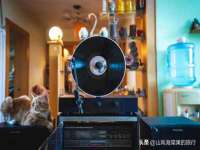 东莞市复鼎织造实业有限公司