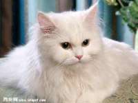 东莞市复鼎织造实业有限公司