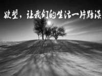 东莞市复鼎织造实业有限公司