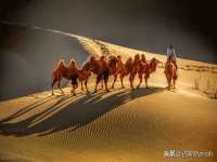 东莞市复鼎织造实业有限公司