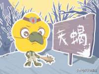 东莞市复鼎织造实业有限公司
