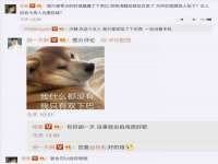 东莞市复鼎织造实业有限公司
