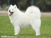 东莞市复鼎织造实业有限公司