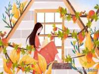 东莞市复鼎织造实业有限公司