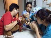 东莞市复鼎织造实业有限公司