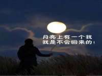 东莞市复鼎织造实业有限公司