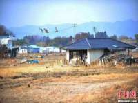 东莞市复鼎织造实业有限公司