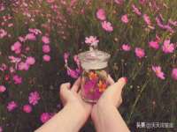东莞市复鼎织造实业有限公司