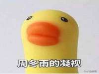 东莞市复鼎织造实业有限公司