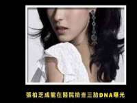 东莞市复鼎织造实业有限公司