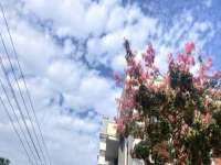 东莞市复鼎织造实业有限公司
