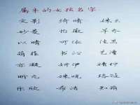 东莞市复鼎织造实业有限公司