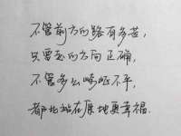 东莞市复鼎织造实业有限公司