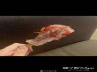 东莞市复鼎织造实业有限公司